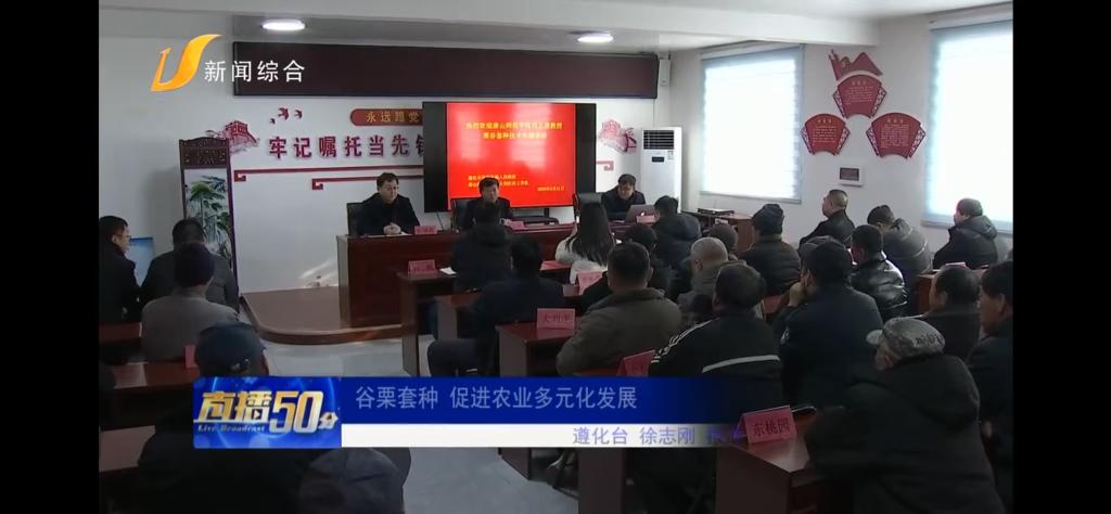 《唐山广播电视台》——beat365官网：谷栗套种 促进农业多元化发展